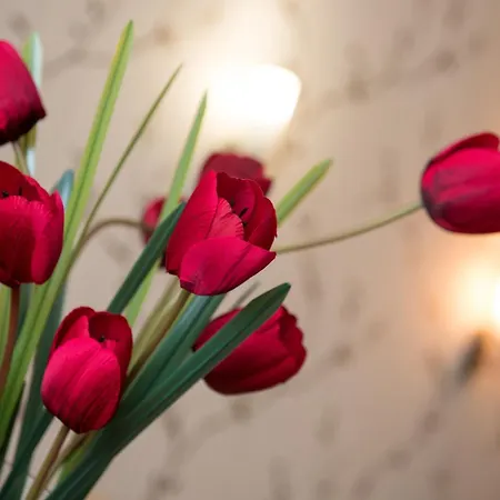 Family Prestige Otel 3*